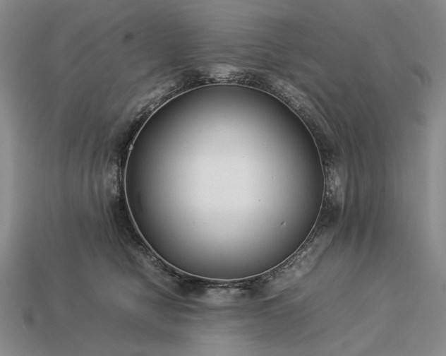 X0000113370470200909291055