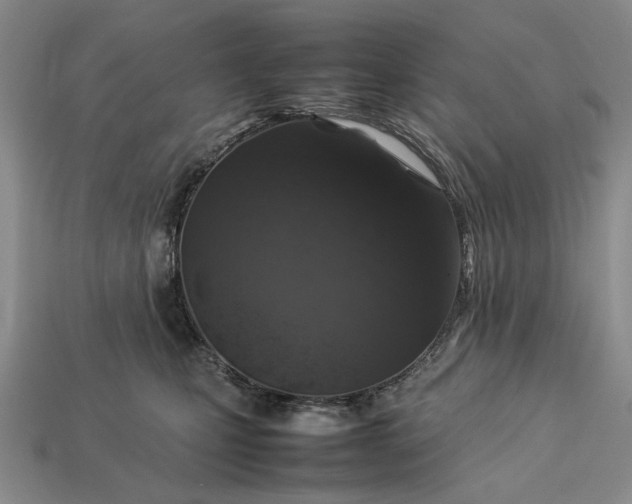 X0000113370471200909291055