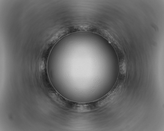 X0000113370472200909291055