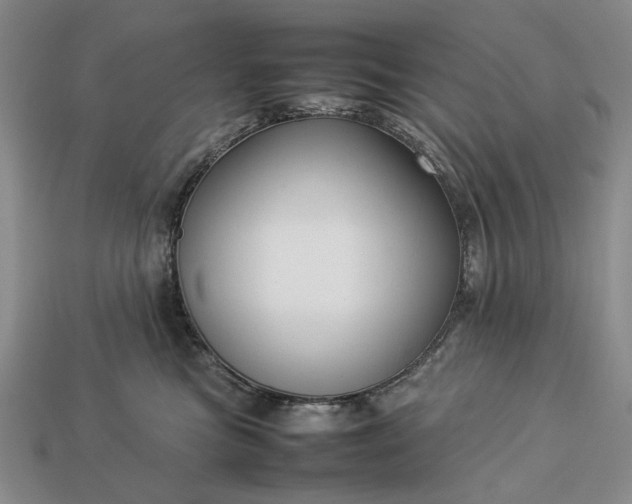 X0000113370473200909291055