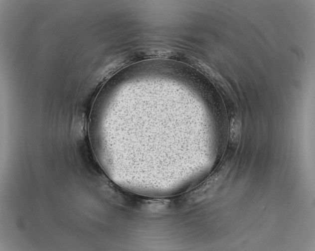 X0000113370474200909291055