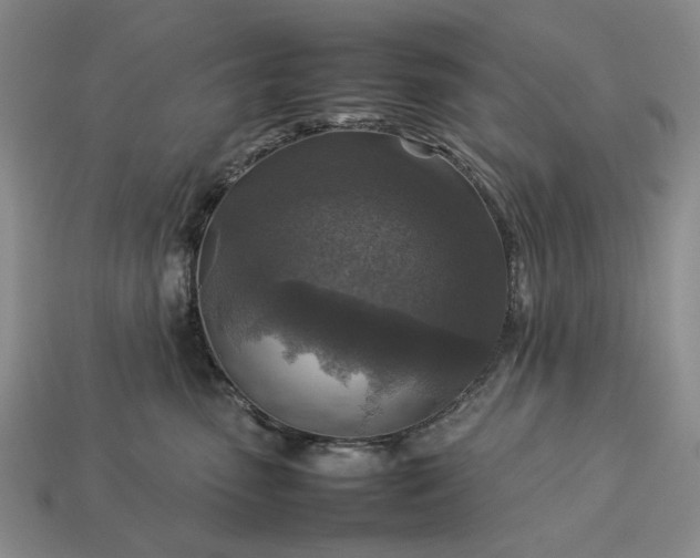 X0000113370475200909291055