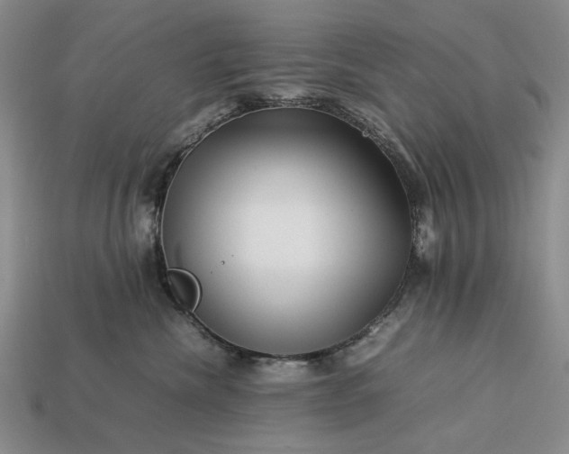 X0000113370476200909291055