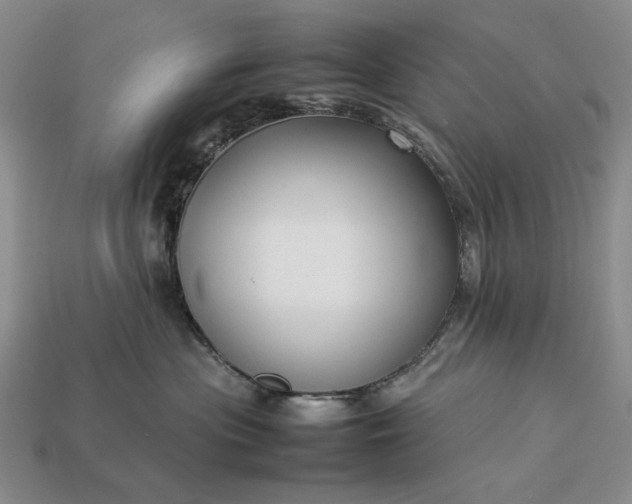 X0000113370477200909291055