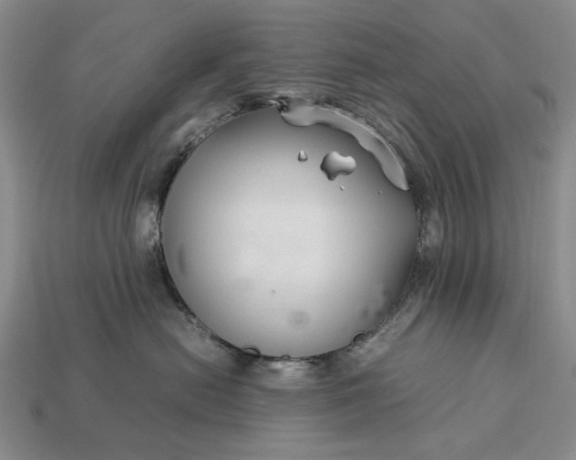 X0000113370478200909291055