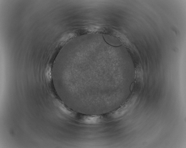 X0000113370479200909291055