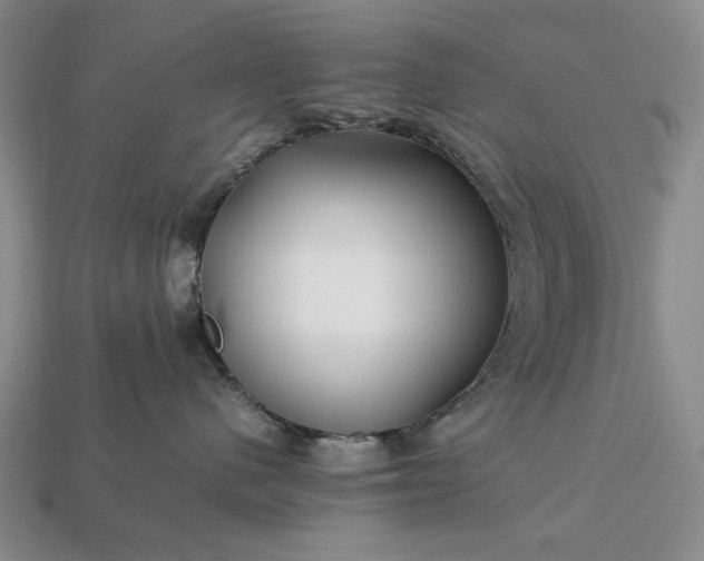 X0000113370480200909291055