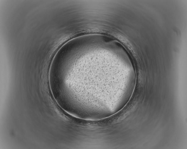 X0000113370481200909291054