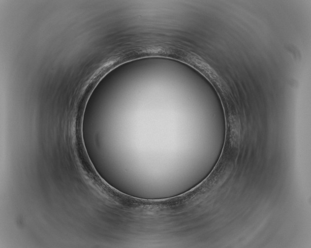 X0000113370482200909291054