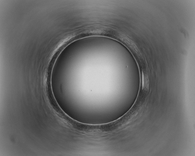 X0000113370483200909291054