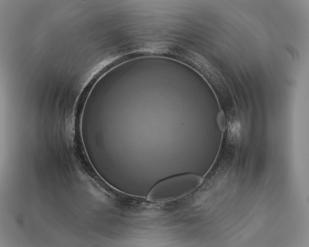 X0000113370484200909291054