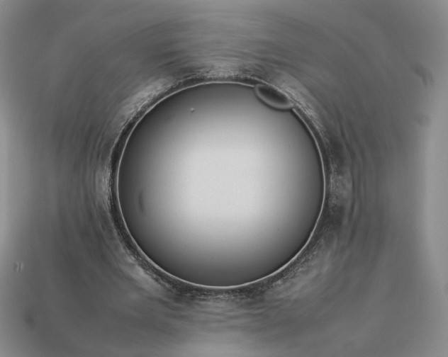 X0000113370485200909291054