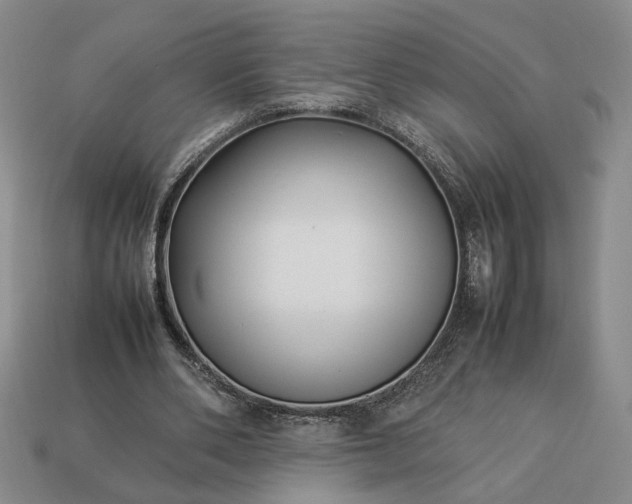 X0000113370486200909291054