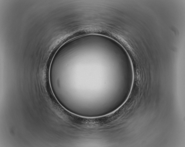 X0000113370487200909291054