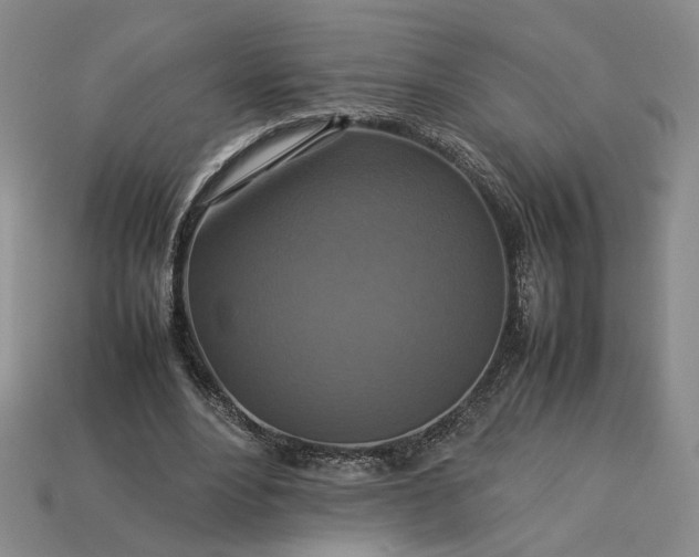 X0000113370488200909291054