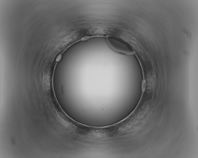 X0000113370489200909291054