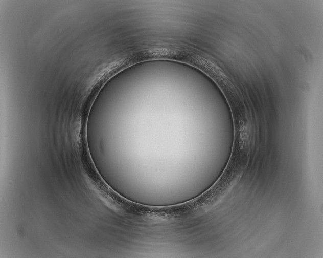 X0000113370490200909291054