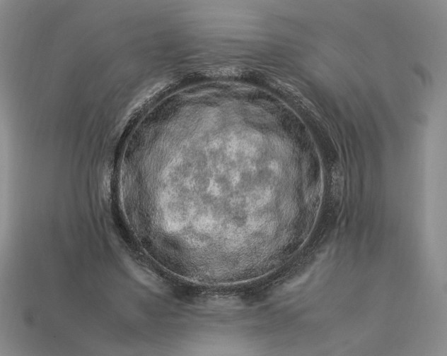 X0000113370491200909291054