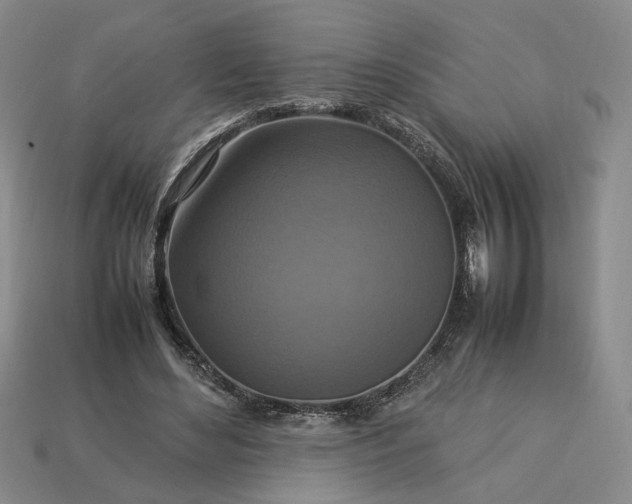 X0000113370492200909291054