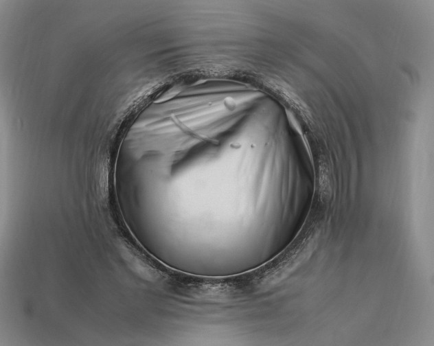 X0000113370493200909291054