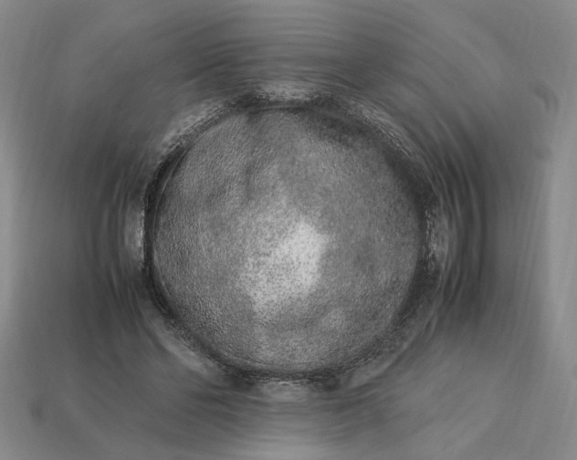 X0000113370494200909291054