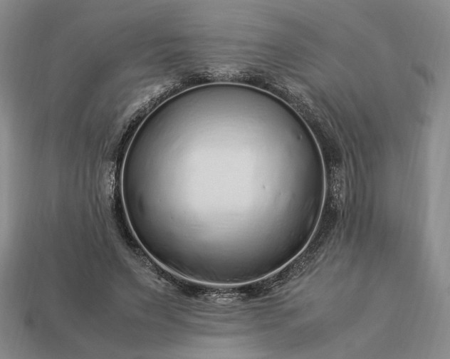 X0000113370495200909291054