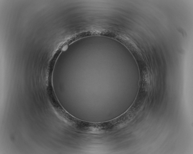 X0000113370496200909291054