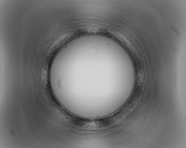 X0000113370497200909291054