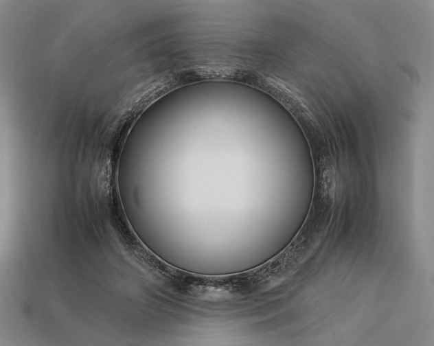 X0000113370498200909291054