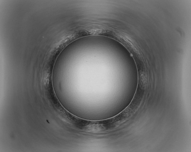 X0000113370499200909291054