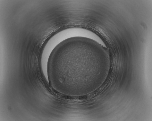 X0000113370500200909291054