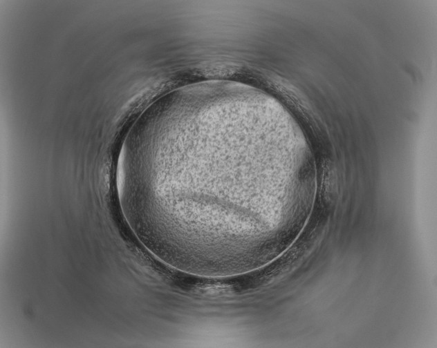 X0000113370501200909291054