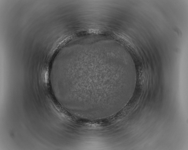 X0000113370502200909291054