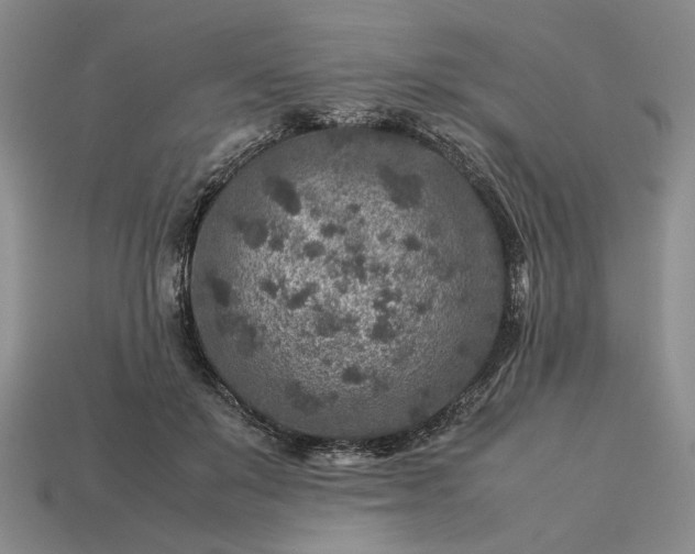 X0000113370503200909291054