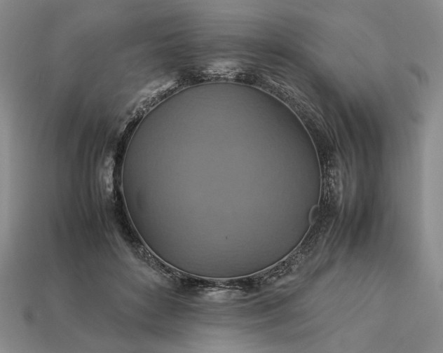 X0000113370504200909291054