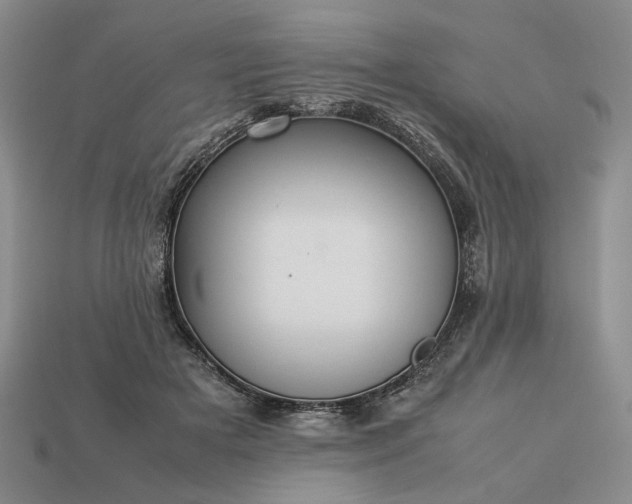 X0000113370505200909291054