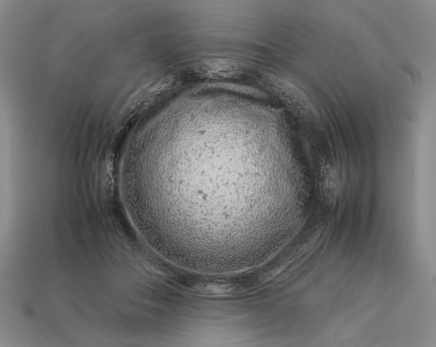 X0000113370506200909291054