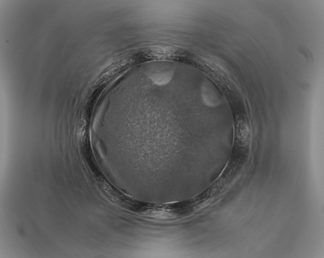 X0000113370507200909291054