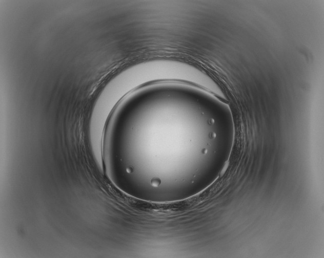 X0000113370508200909291054