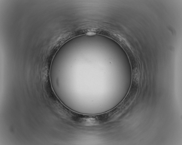 X0000113370509200909291054