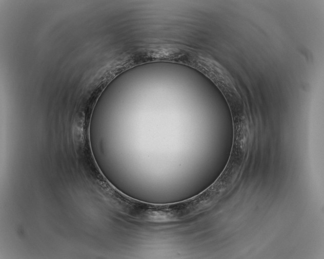 X0000113370510200909291054