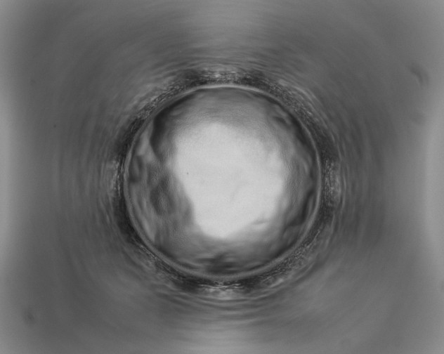 X0000113370511200909291054