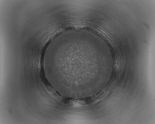 X0000113370512200909291054