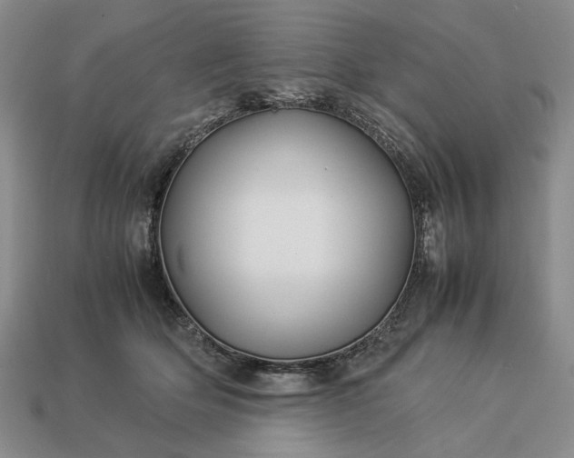 X0000113370514200909291054