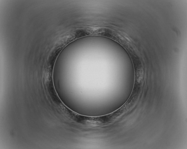 X0000113370515200909291054