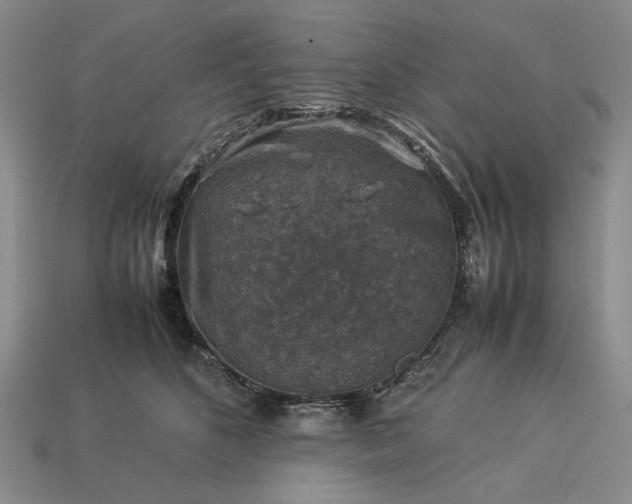 X0000113370516200909291054