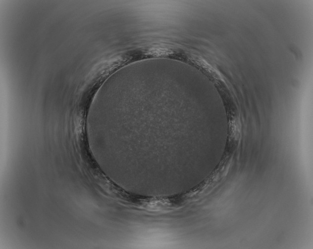 X0000113370517200909291054