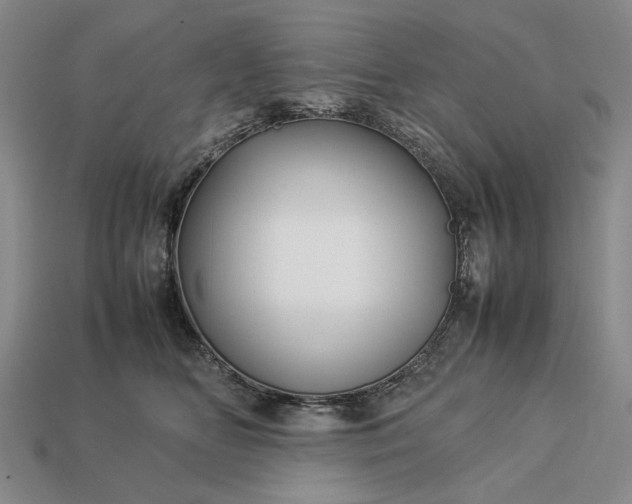 X0000113370518200909291054