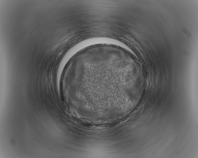 X0000113370520200909291054