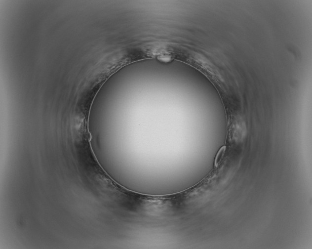 X0000113370521200909291054